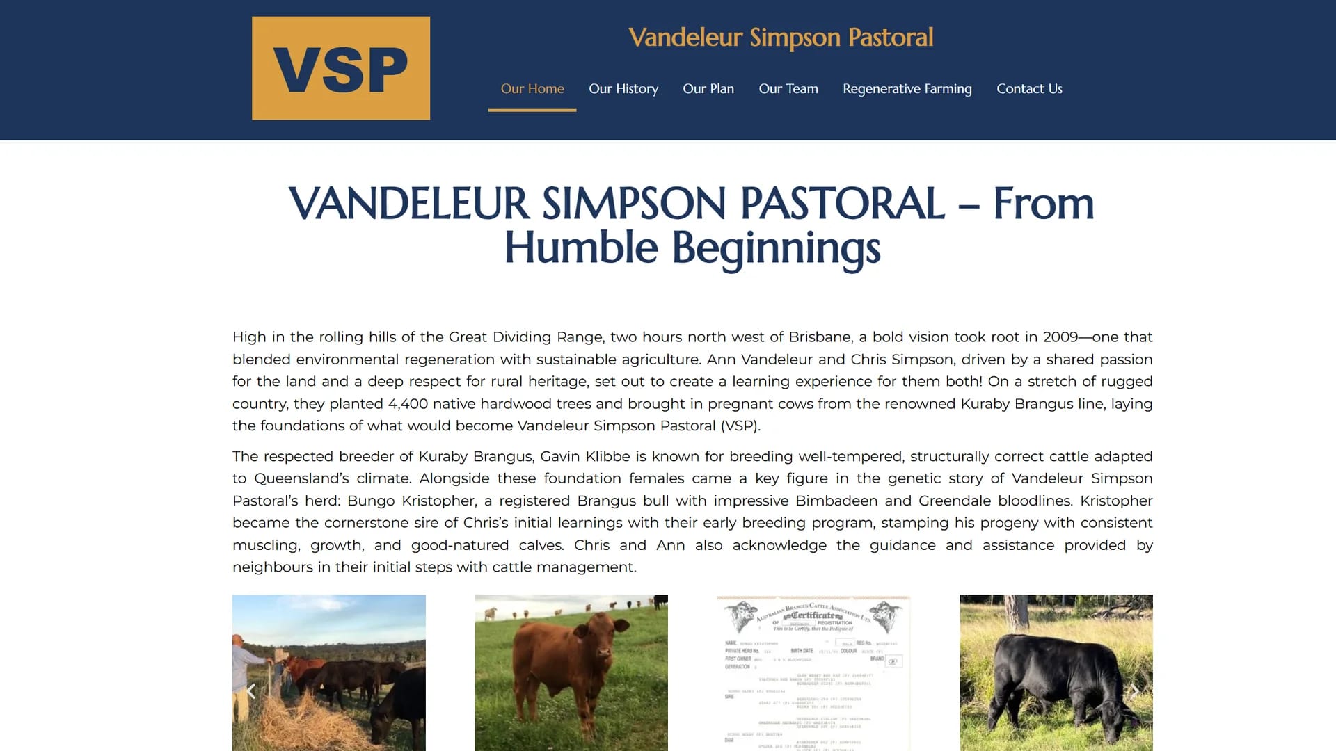 Vandeleur Simpson Pastoral home page introducing the farm’s history above a gallery of cattle photos