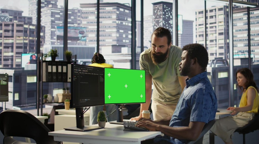 adelaide wordpress developer